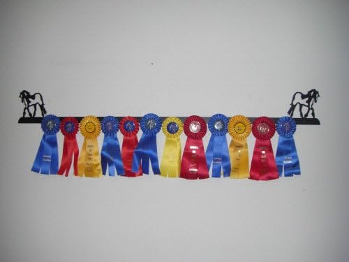 Showoff Black 14ga Steel Award Rack - Horse, Wall Mount or Stall Mount, USA Made