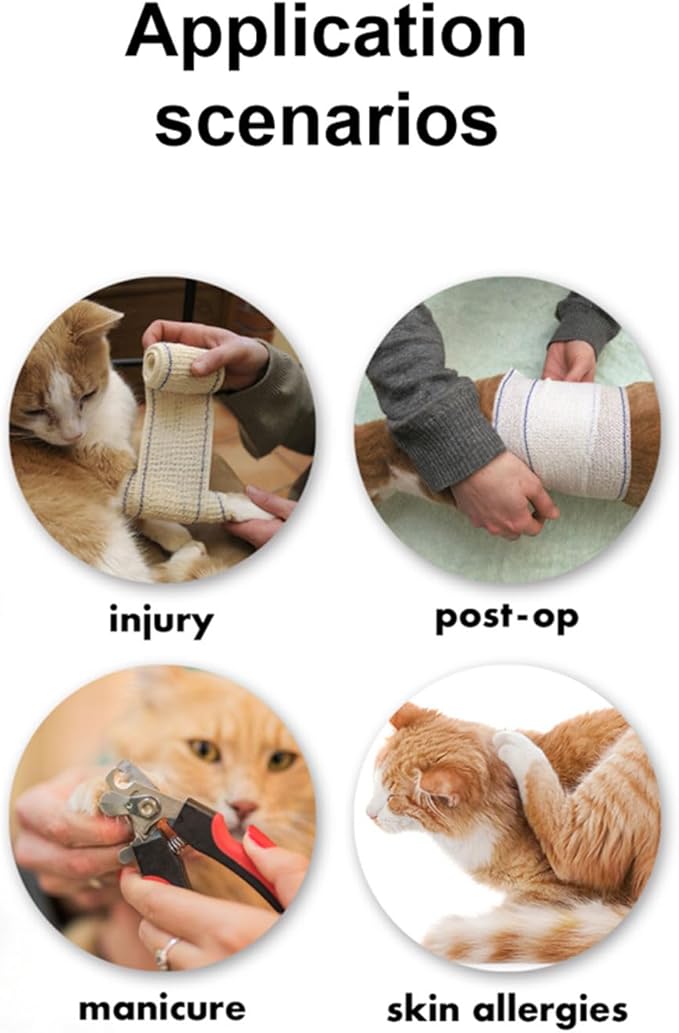 EWES Cat Cone Collar Soft M Size Alternative Neck Cones to Stop Licking Kitten Comfy Elizabethan Collars After Surgery Neuter Dog Donut Collar for Pet e Collar Recovery Shame