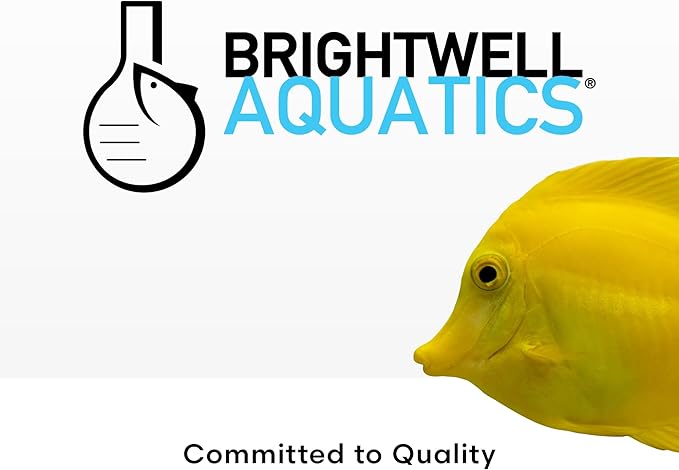 Brightwell Aquatics MicroBacter Clean - Microbial Culture & Enzyme Blend Fish Tank Cleaner - Cleans Live Rock Surfaces for Saltwater Fish Habitats - Aquarium Water Treatments, 16.9 fl oz