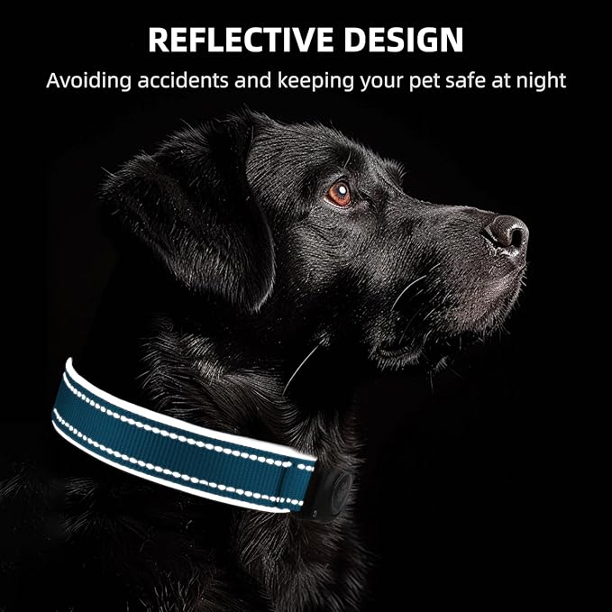 Airtag Dog Collar - 100% Waterproof Air tag Dog Collar Holder for Apple AirTag, Reflective, Soft Padded, Everlasting, GPS Dog Collar for Small Medium Large Dogs (Blue, L)