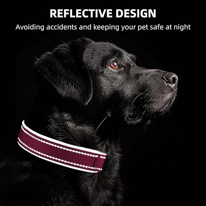 Airtag Dog Collar - 100% Waterproof Air tag Dog Collar Holder for Apple AirTag, Reflective, Soft Padded, Everlasting, GPS Dog Collar for Small Medium Large Dogs (Hot Pink, XL)