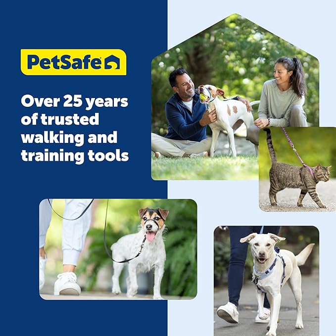 PetSafe Gentle Leader Headcollar No-Pull Dog Collar - Helps Improve Walks - Durable Nylon Construction - Padded Nose Loop - Adjustable Fit - Comfort Walking Halter - Small, Black
