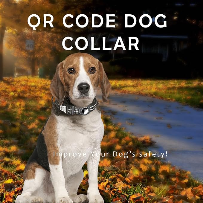 Reflective Dog Collar with Apple AirTag Holder & QR Code Pet ID Tag,Soft Nylon Adjustable Dog Tracker Collar with Safety Lock for Large Dogs(Black, L)