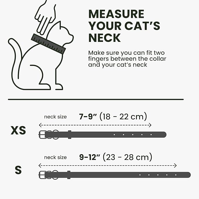 BRONZEDOG Leather Cat Collar with Removable Bells Non Breakaway Kitten QR Tag for Girl Boy (7" - 9" for Cats, Black & Gold)