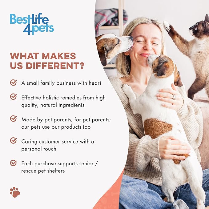 Mange Treatment for Cats, Natural Ear Mite Treatment & Cat Itchy Skin Relief, Helps with Welts, Scabs, Feline Dandruff, Shedding, Excessive Grooming and General Fur and Coat Care, 400 Odorless Pills