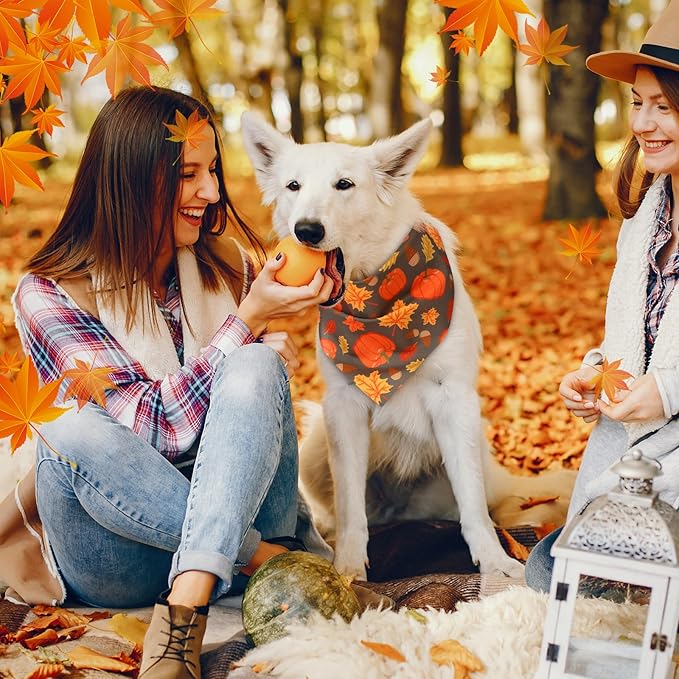 Abbylike 50 Pcs Fall Dog Bandanas Bulk Pumpkin Bandanas for Dogs Triangle Kerchief Bibs Scarf for Small Medium Large Pets Autumn Thanksgiving Costume Accessories, 25 Styles (31.5 x 21.7 x 21.7 Inch)