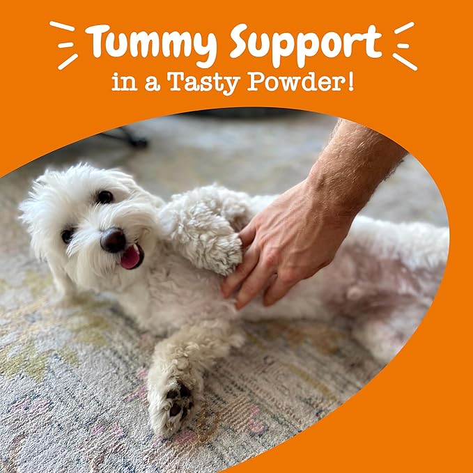 Zesty Paws Powder Probiotics for Dogs - Meal Topper for Digestive, Immune System Support - Premium DE111 Dog Probiotics for Digestive Health - Inulin Fiber & Yeast Extract - Pumpkin Flavor - 30 Ct