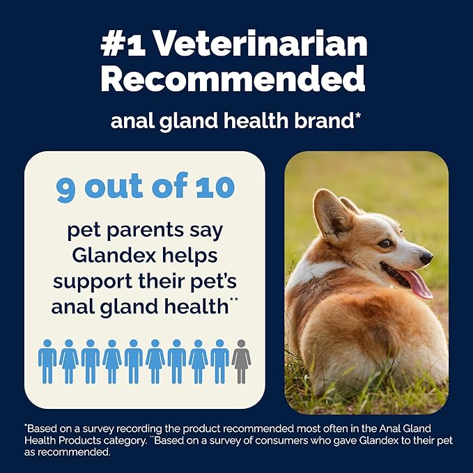 Vetnique Glandex Anal Gland Soft Chew Treats with Pumpkin for Dogs Digestive Enzymes, Probiotics Fiber Supplement for Dogs Boot The Scoot (Advanced Strength Duck/Bacon Chews (Vegetarian), 120 Ct)