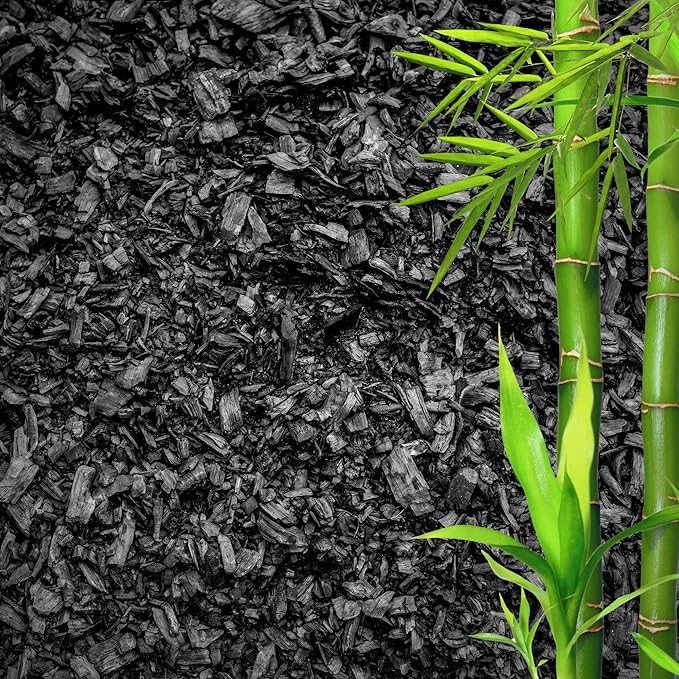 Horticultural Charcoal for Plants ā Organic Bio Char Soil Amendment for Terrariums, Indoor Plants & Gardening, Made in USA (3 quarts)