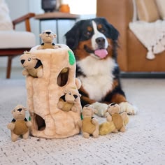 🧸 Plush Pet Toys