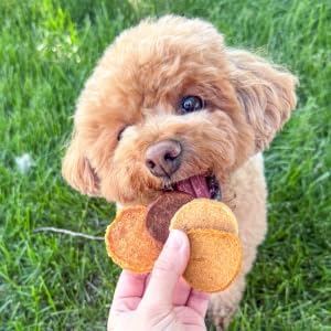 Farm To Pet - Puppy Packs 'N Snacks Dog Treat Starter Pack - Chicken 4oz + 1 Beef & 1 Turkey & 1 Fish Snack Pack - Single Ingredient Training Treats, All Natural, Lean for Small, Medium, Large Breeds