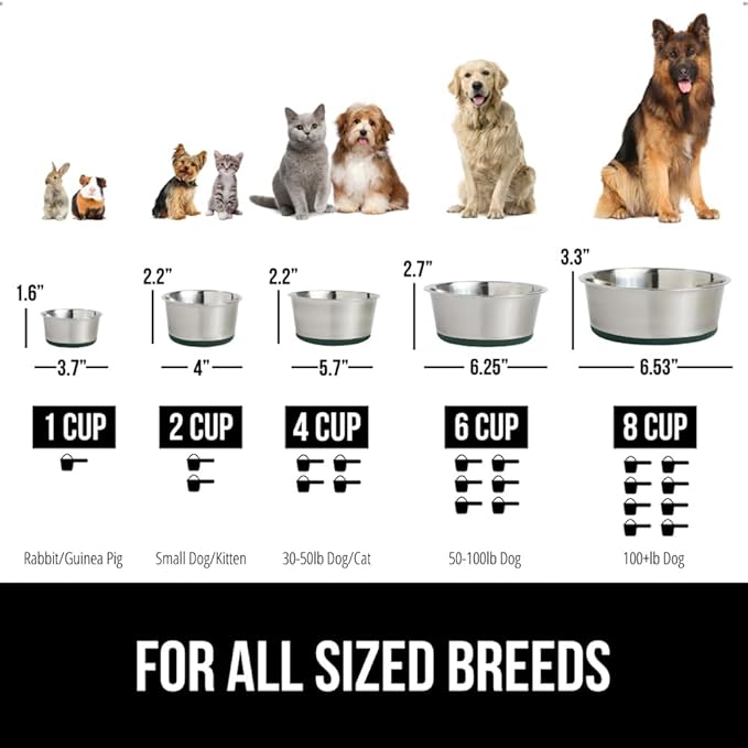 GORILLA GRIP Dog Bowls, Holds 1 Cup Each (8 fl oz), Heavy Duty Stainless Steel Food and Water Bowl for Feeding Dogs and Cats, Dishwasher Safe, Rust Resistant Metal BPA Free Rubber Base, Set of 2 Green