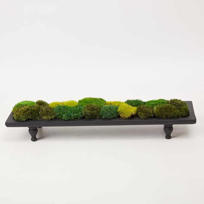Moss No Bowl 4 Color Mix Pack Preserved Pole Moss Pillow Bun Cushion Natural Decorative DIY Kit Art Wall Florist Easter Decor (1.5 sq.ft, Green-A,B,C-D)
