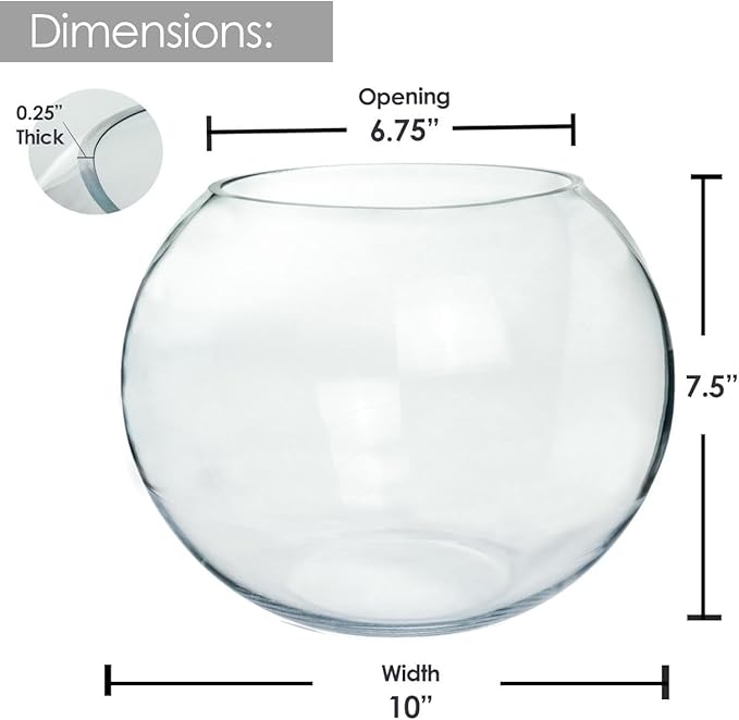 Craft And Party, Glass Bubble Vase, 8" Height x 10" Width Glass Fish Bowl, Bubble Bowl for Terrarium, Flower Centerpiece