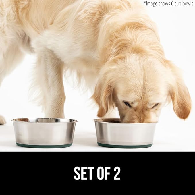 GORILLA GRIP Dog Bowls, Holds 1 Cup Each (8 fl oz), Heavy Duty Stainless Steel Food and Water Bowl for Feeding Dogs and Cats, Dishwasher Safe, Rust Resistant Metal BPA Free Rubber Base, Set of 2 Green
