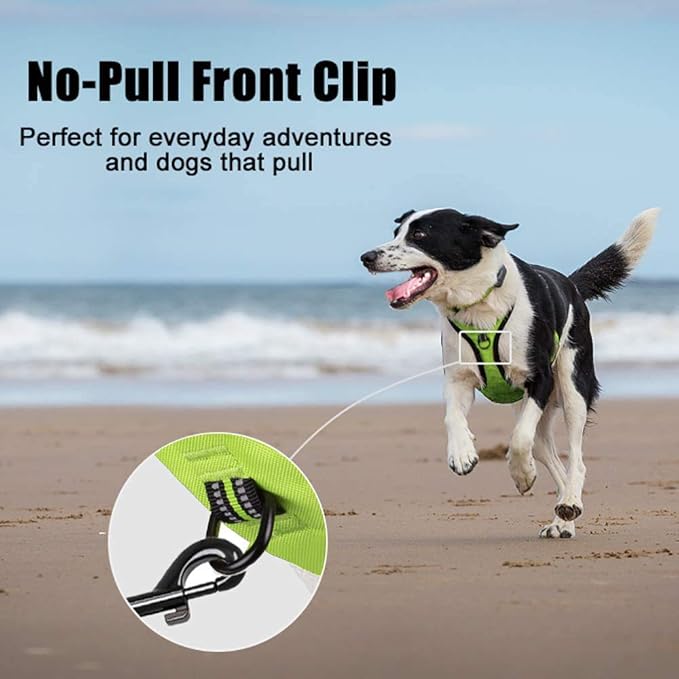PoyPet No Pull Dog Harness, Reflective Comfortable Vest Harness with Front & Back 2 Leash Attachments and Easy Control Handle Adjustable Soft Padded Pet Vest for Small to Large Dogs (Green,S)