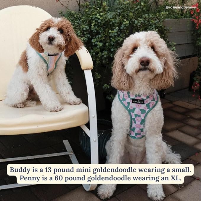 Lucy & Co. Cute Reversible Dog Harness Walking Halter - Best Designer Pet Harnesses for XS - XL Dogs - Padded Adjustable Vest for Easy Walking. (Just Chill Reversible Harness).