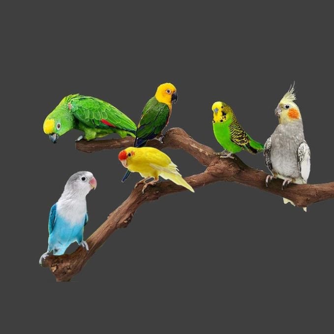 Allazone 5 PCS Natural Grape Stick Perch Swing Chewing Toys for Parrot Cages, Cockatiels, Parakeets, Finches - Bird Standing Stick