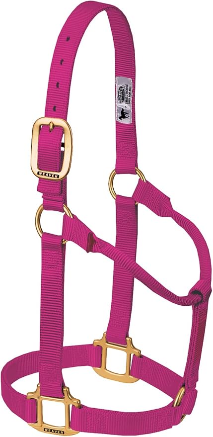 Weaver Equine Nylon Horse Halter, Triple-Ply Cheek Design, Original Non Adjustable Halters for Horses, Equine Tack,Average Size, Black