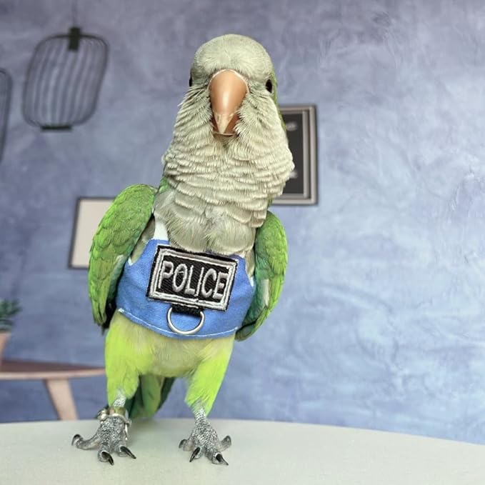 Bird Flight Harness Vest, Parrot Flight Suit with Leash, Bird Flying Clothes with Rope and Handle for Outdoor Activities (with Leash,Caique)