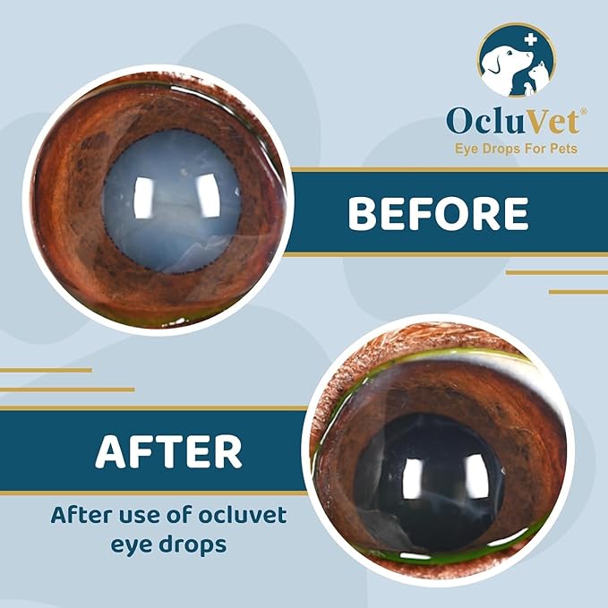Eye Drops for Pets | Clinically Studied Antioxidants for Pets | Made in The USA | Includes 2% N-Acetyl-L-Carnosine (NAC) | 16mL - 2 Pack