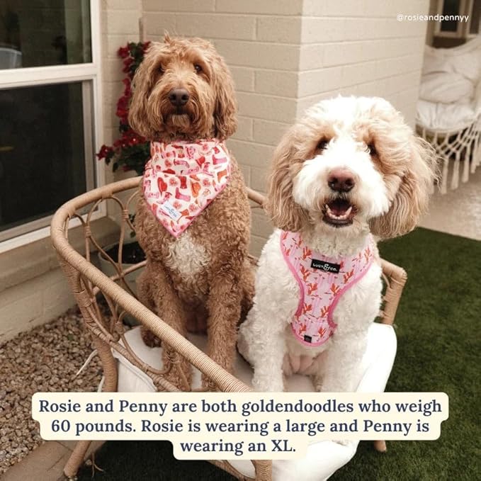 Lucy & Co. Little Lamb Adjustable Dog Collar- Cute Designer Pet Collar for Small, Medium, Large Dogs- Buckle Closure Dog Accessories, Large, Yellow Floral