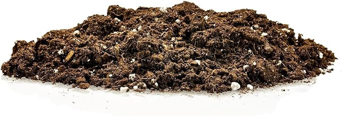 GARDENERA Premium Dracaena Potting Soil Mix - (1 Quart Bag)