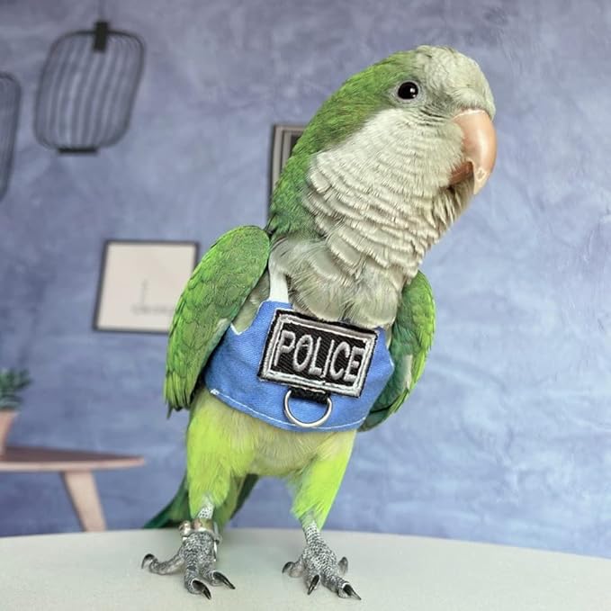Bird Flight Harness Vest, Parrot Flight Suit with Leash, Bird Flying Clothes with Rope and Handle for Outdoor Activities (Without Leash,Budgie)