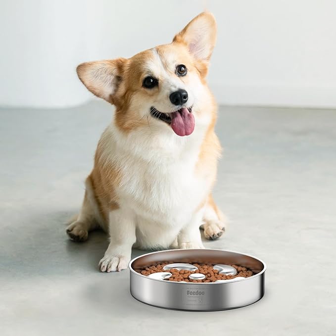 Slow Feeder Dog Bowl, Double Wall Food Grade Stainless Steel, Heavy Duty with Non-Slip Rubber Base, 2Cups Capacity for Medium Dogs to Slow Down Eating