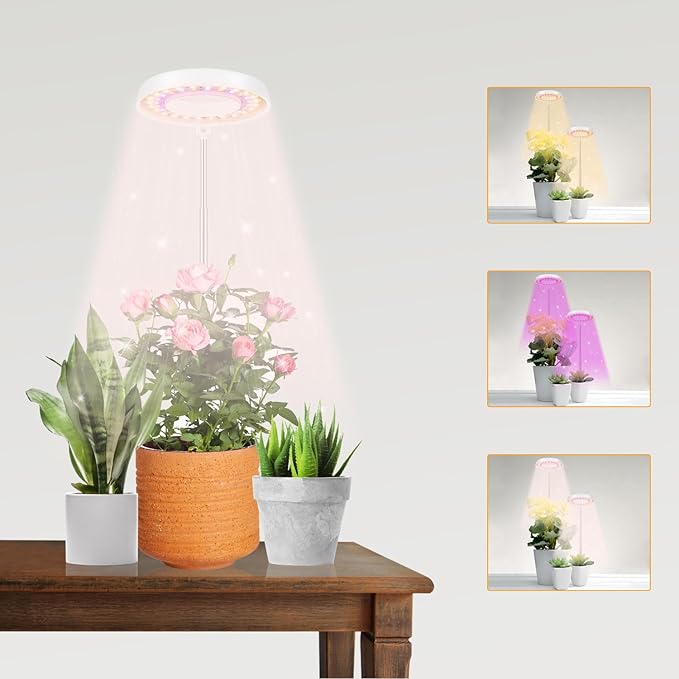 GooingTop LED Grow Light, Halo Plant Lamp for Indoor Plants Growing, White Low Light for Succulents Mini Small Plants Growth,Upgrade Timer 4/8/12/18 Hrs & Variable Spectrum,1 Pack