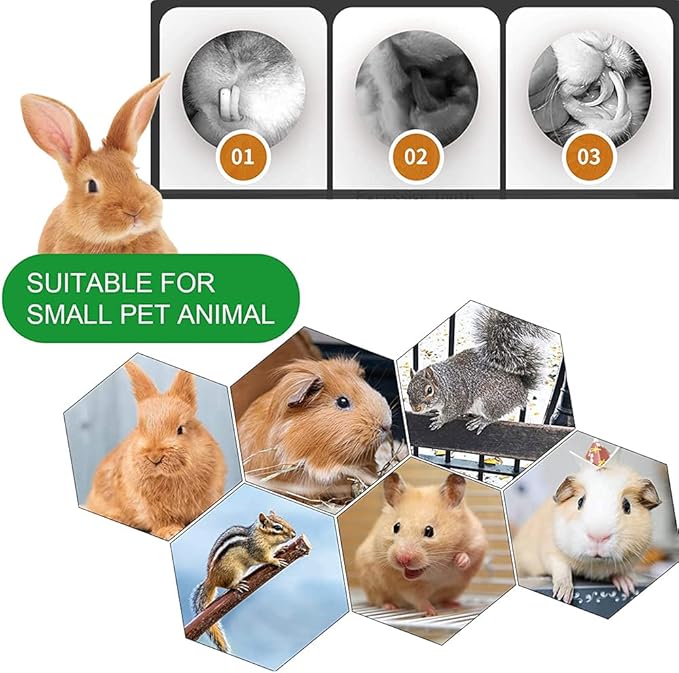Rabbit Toys, 3 Types Hamster Chew Toys for Teeth Grinding, Improve Dental Health, Best Bunny Toys for Rabbits, Guinea Pigs, Chinchillas, Hamsters