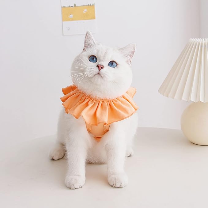 Cat Recovery Suit for Abdominal Wounds and Skin Diseases,Breathable Surgical Recovery Shirt After Surgery Wear Anti Licking Wounds,E-Collar Alternative for Female Cats Kitten(RSC01-orange-s)