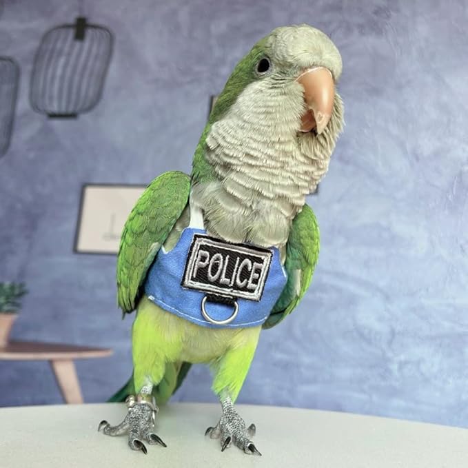 Bird Flight Harness Vest, Parrot Flight Suit with Leash, Bird Flying Clothes with Rope and Handle for Outdoor Activities (Without Leash,Crested Myna)