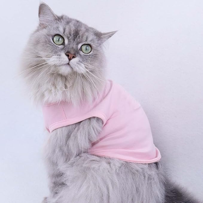 Custom Dog Birthday Shirt,Personalized Pet Apparel Print with Name Age Number,Pet Birthday Outfit,Lightweight Breathable Cotton Vest for Small Medium Large Dogs Cat (Grey, XX-Large)