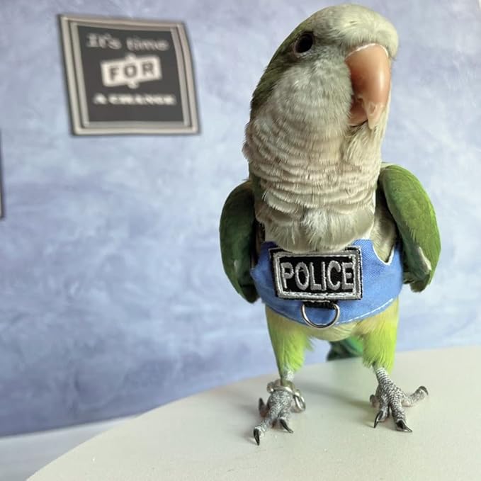 Bird Flight Harness Vest, Parrot Flight Suit with Leash, Bird Flying Clothes with Rope and Handle for Outdoor Activities (with Leash,Blue Quaker)