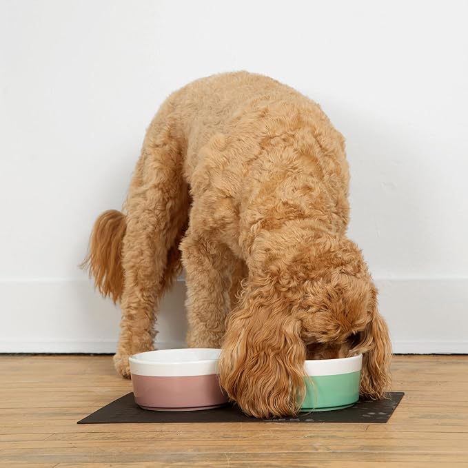 Waggo Dipper Ceramic Dog Bowl for Small and Large Breeds - Heavyweight and Durable Pet Food and Water Dish Crock, Dishwasher Safe, Modern (Mauve, Medium)