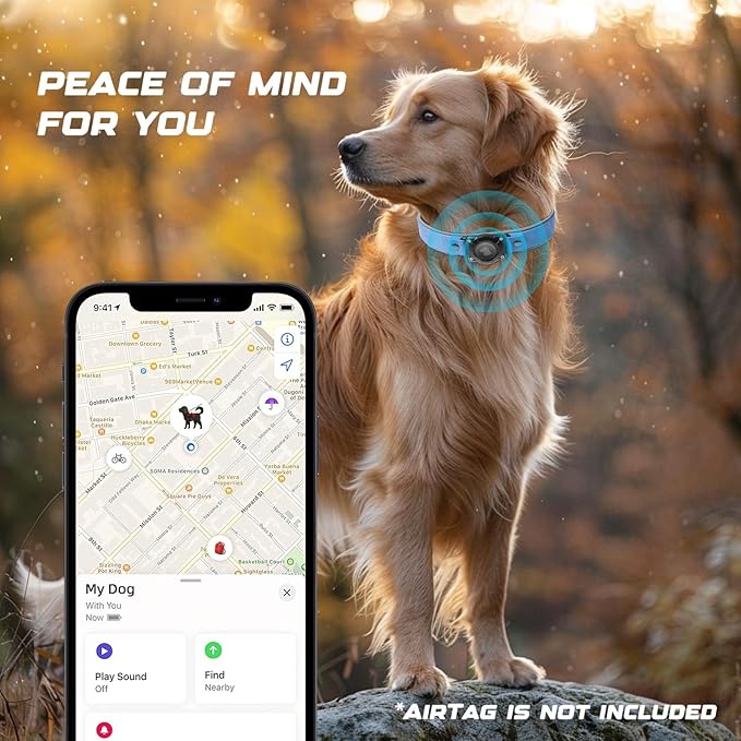 AirTag Dog Collar - Leather Dog Collar with Air Tag Holder | IPX8 Waterproof, Reflective, High - End, Adjustable Soft Padded | Dog GPS Tracker Collars Fit for Medium Large Dogs (Blue, XL)