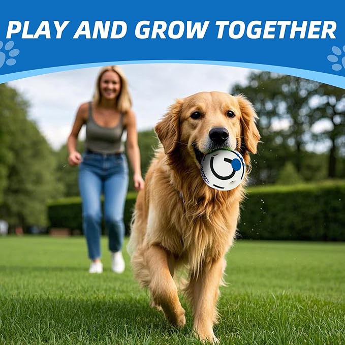 Glow in The Dark Dog Toys Ball, Interactive Dog Ball, Shaking with Gibbering Sound, M, 3.46 in (8.8 cm)