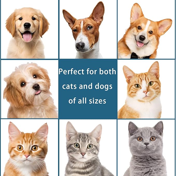 Pet Steam Brush Spray Refill for Dogs & Cats – Concentrated Waterless Shampoo, 3-in-1 Grooming Spray Comb Mist, 2*Shampoo(Steam Brush not Included)