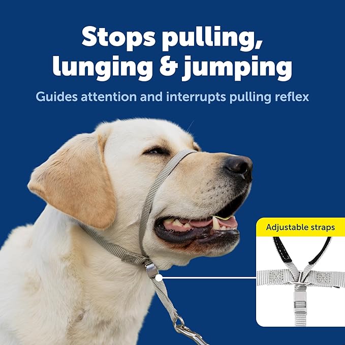 PetSafe Gentle Leader Headcollar No-Pull Dog Collar - Helps Improve Walks - Durable Nylon Construction - Padded Nose Loop - Adjustable Fit - Comfort Walking Halter - Small, Charcoal