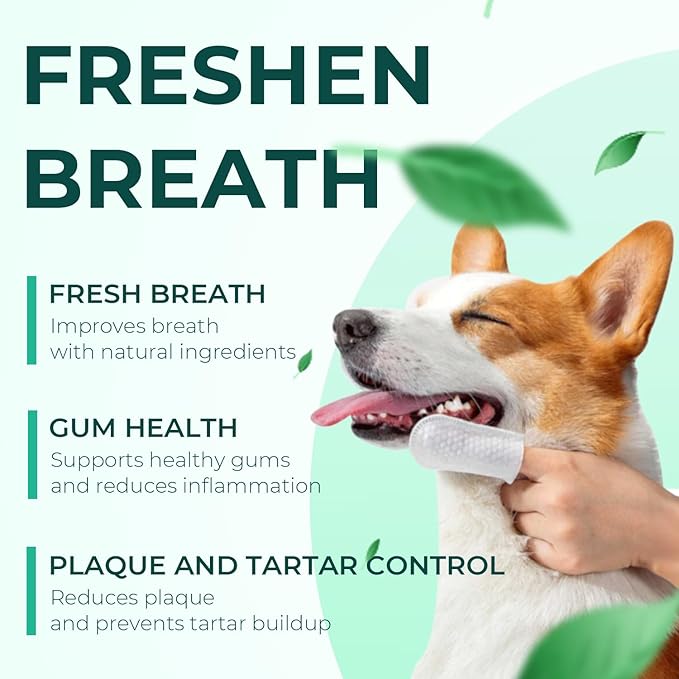 Dog Teeth Cleaning Wipes 50 Pack, Reduces Plaque and Freshens Breath, Dog Dental Wipes Dog Tooth Brushing Kit, No-Rinse Dog Toothbrush Finger Wipes Dental Care for Dogs Cats