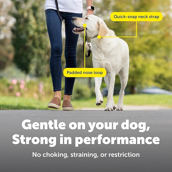 PetSafe Gentle Leader Headcollar No-Pull Dog Collar - Helps Improve Walks - Durable Nylon Construction - Padded Nose Loop - Adjustable Fit - Comfort Walking Halter - Medium, Fawn