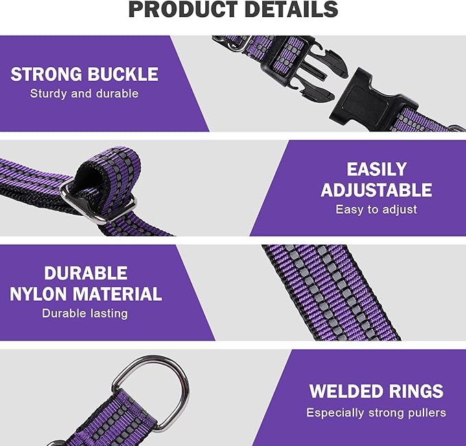 Hikiko Martingale Collar for Dogs Reflective Nylon Dog Collar with Quick Release Buckle Adjustable Training No Slip Dog Collars (Medium, Purple)