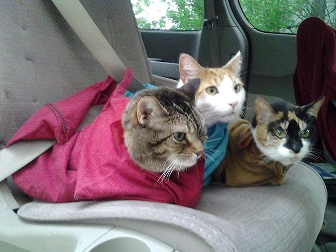 Cat-in-the-Bag Cozy Comfort Carrier - Extra Small Caramel Cat Carrier Soft and Pet Carrier for Medication Administration, Nail Clipping, Travel, Vet Visits, and Dental Care
