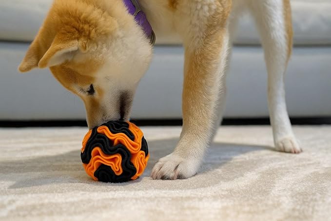 Puppy and Small Breed Snuffle Interactive Foraging Dog Puzzle Ball Toy Halloween Orange and Black