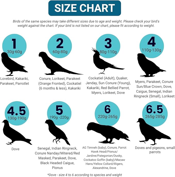 Bev's Bird Boutique Regular Flyper Adjustable Bird Diaper | Reusable, Washable Cloth | Comfort Fit for Parrot, Cockatiels, & Other Small Birds | Fashionable Avian Accessories, Navy & Red, Size 8