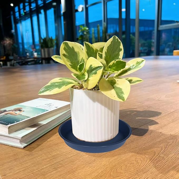 6 Pack of 10 inch Plant Saucer Blue, Heavy Duty Plastic Plant Saucer 10 inch Round, Flower Plant Saucers for Indoors, Plant Trays for Planter 8"/9"/10" (10", Blue)