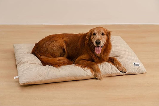 FUNNY FUZZY Washable Dog Bed,Reversible Plush Dog Crate Mat, Soft Fluffy Kennel Pad,Pet Sleeping Mattress for Jumbo,X-Large Sized Dogs Breeds,2XL,48"× 31",Beige
