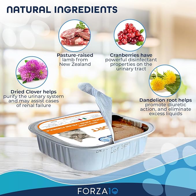 Forza10 Kidney Care Cat Food – Renal Support Wet Cat Food with Lamb, 3.5 oz Cans, 12 Pack – Vet Formulated, Made in Italy