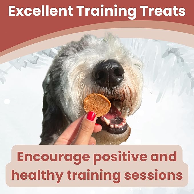 Farm To Pet Dog Training Treats, Healthy Turkey Chips for Dogs - 4 oz, 100% Human Grade Turkey Breast, All Natural, Single Ingredient, Low Allergen Treats for Dogs and Puppies, Made in USA